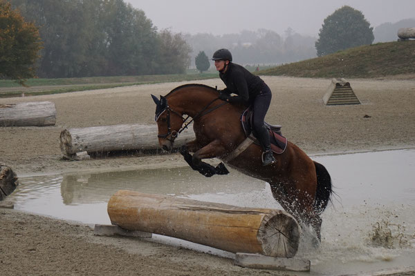 Vidal am Geländetraining in Avenches mit Julia Radtke - Oktober 2018