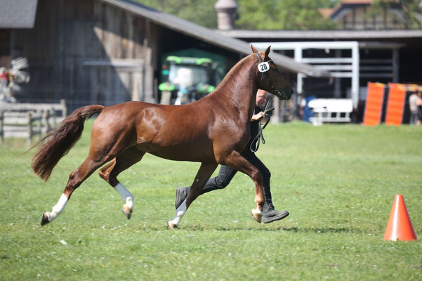 Hermes - Foto: Karin Rohrer