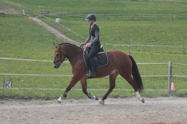 Nirinja vom Sagenhof am 10.04.2021 - Foto: Jenny Commons