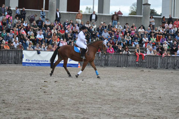 Charelle Cosima KS an der Quadrille an der OLMA St.Gallen 2014