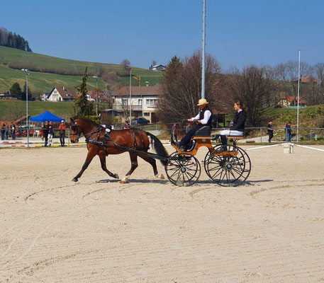 Leandro am Feldtest in Plaffeien 2022