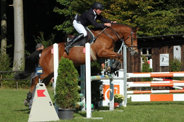 Concours Wintersingen 2014 - Foto: Jenny Commons