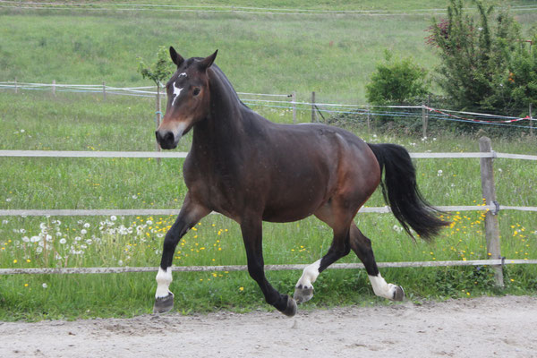 Balina am 25.05.2019 - Foto: Jenny Commons