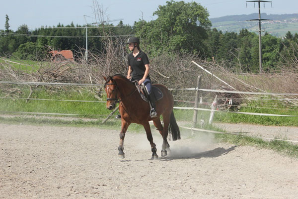 Rijana - Foto: Jenny Commons