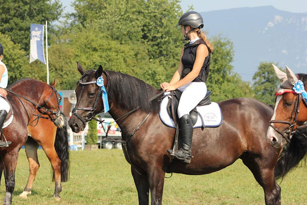 Concours Subingen - Foto: Jenny Commons