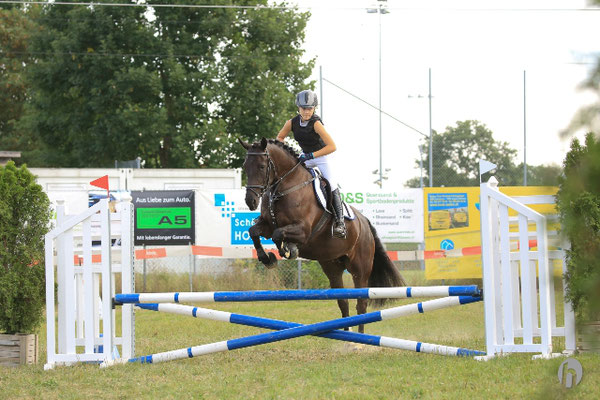 Elisha - Foto: Horsefotograf.ch