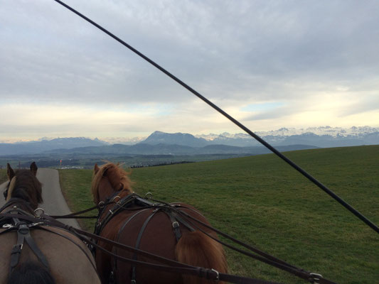 Ausfahrt in Römerswil mit wunderschöner Aussicht