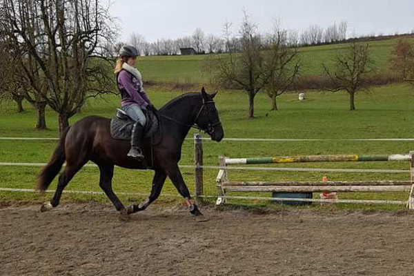 Henso vom Nanz am 28.01.2018