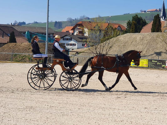 Leandro am Feldtest in Plaffeien 2022