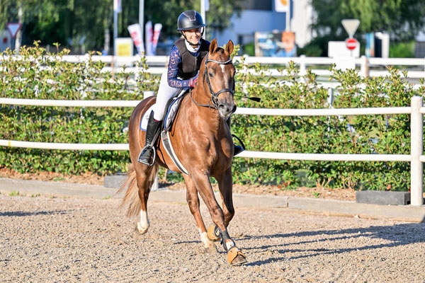 Exaequo am Concours Dielsdorf - Foto: Sportfoto-Mo