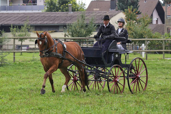 Noemi am Feldtest 2019