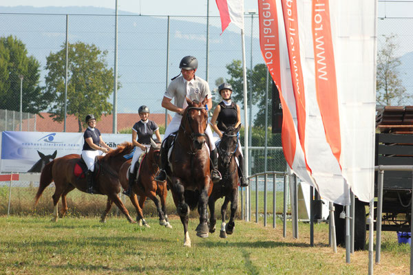 Concours Subingen - Foto: Jenny Commons