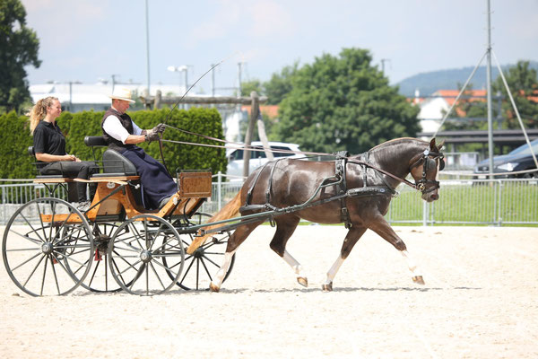 Nymeria vom Sagenhof