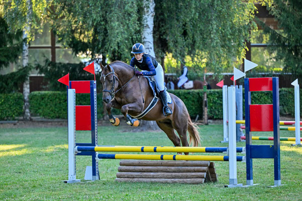 Exaequo am Concours Dielsdorf - Foto: Sportfoto-Mo