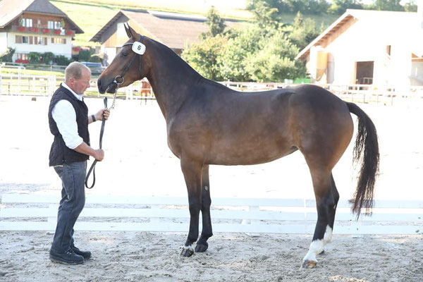 Nathalia AA am Feldtest Schwarzenburg 2020