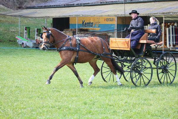 Irina am Feldtest Sumiswald 2021 - Foto: Karin Rohrer