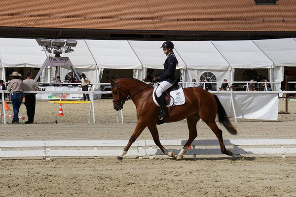 Castella vom Cherhof an der Elite Avenches 2017