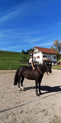 Spass und vollstes Vertrauen präsentiert von Jenny Kathriner mit Elisha