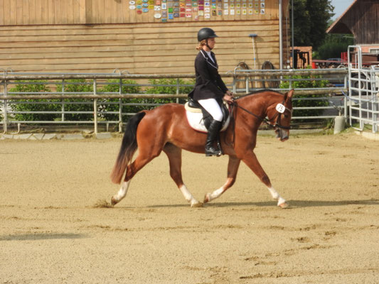 Stella am Feldtest Zauggenried 2019 - Foto: Elisabeth Leuenberger