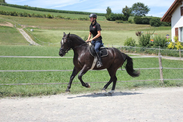 Henso vom Nanz am 15.07.2018 - Foto: Jenny Commons