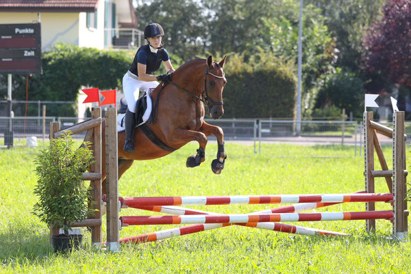 Concours Wohlen 2024, erster Sieg - Foto: MM-Fotohirsch