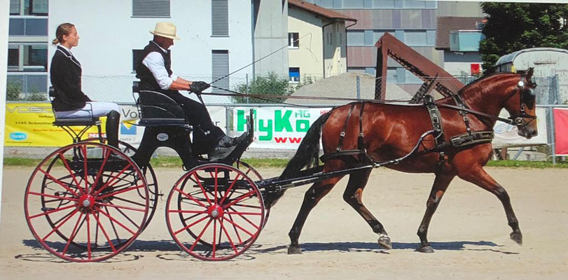 Serafina vom Steg am Feldtest in Plaffeien 2020