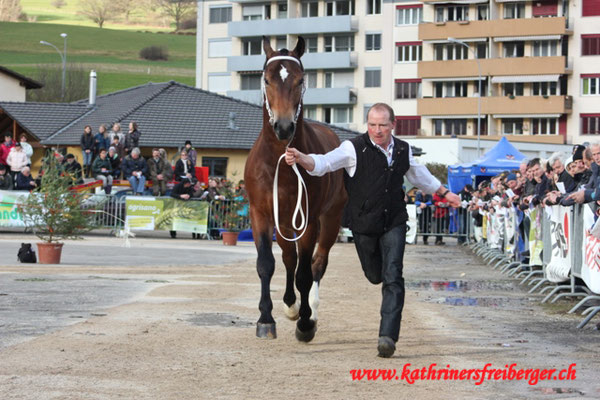 Carlos vom Sagenhof - Foto: Jenny Commons