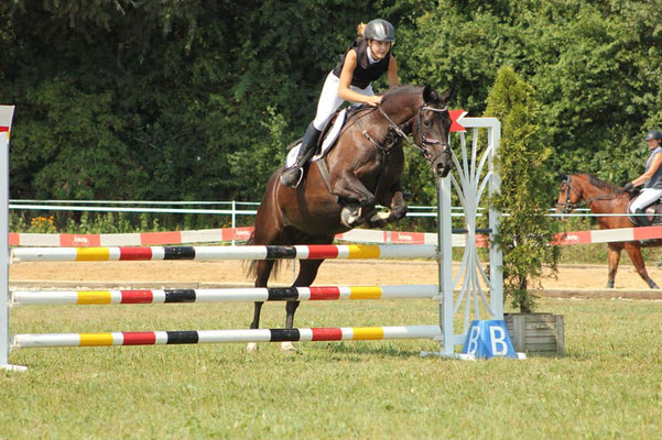 Concours Subingen - Foto: Jenny Commons