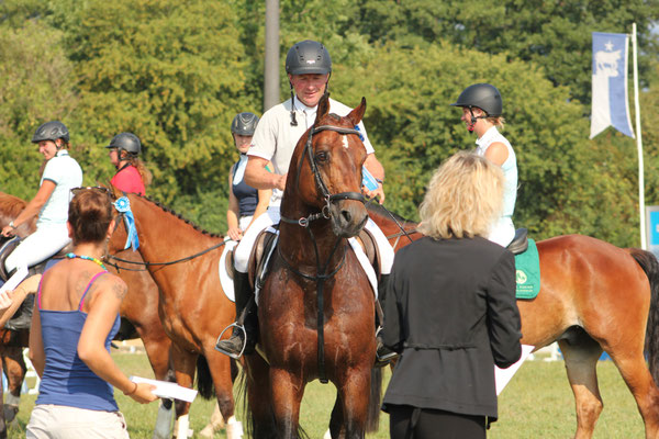 Concours Subingen - Foto: Jenny Commons