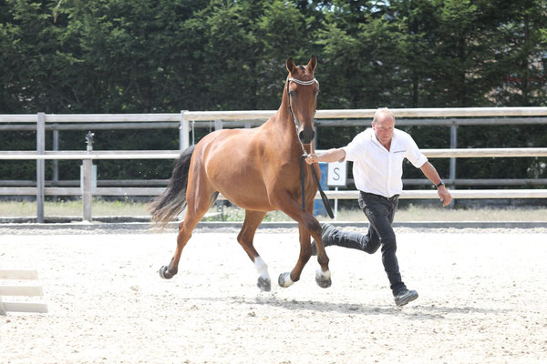 Quilaro am 19.08.2023 am Feldtest