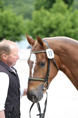 Cayman vom Sagenhof am Feldtest in Balsthal - Foto: Karin Rohrer