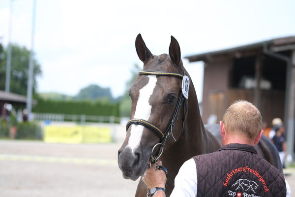 Nymeria vom Sagenhof