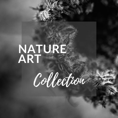 vente photographie art nature