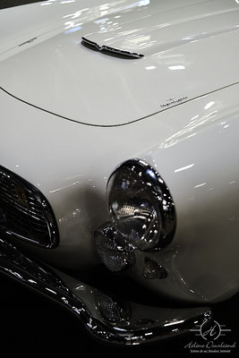 salon rétromobile