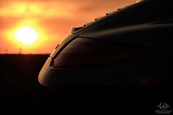 détail carrera gts