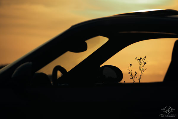 shooting photo voiture au coucher du soleil