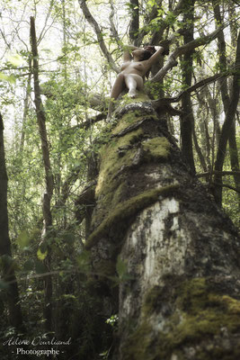 photo femme nue sur un arbre