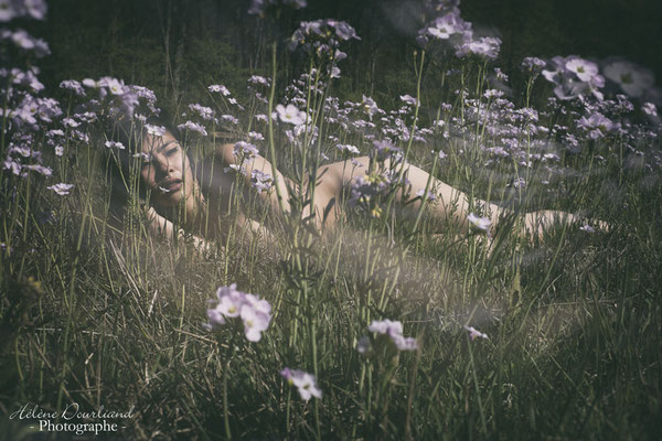 photo de femme nue dans un champ de fleurs