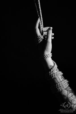 Exploration Artistique : Séance Photo Shibari Femme en Studio