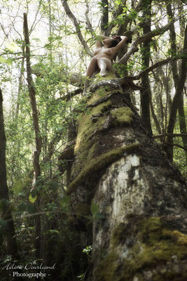 Séance photo de nu en lumière naturelle dans les Yvelines