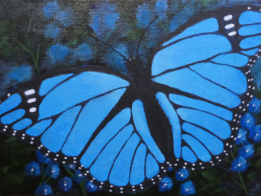 Vlinder blauw, 2020  13x18