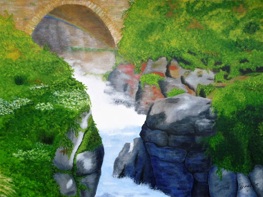 Le Gave in de Pyreneeën, 2015  60x80