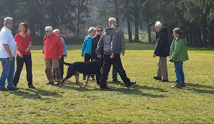 Prüfung in der Gruppe