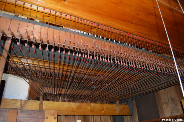 mécanique  du Swell.