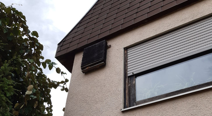 Nistkasten neben dem Fenster