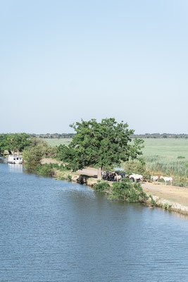 balade en bateau en camargue