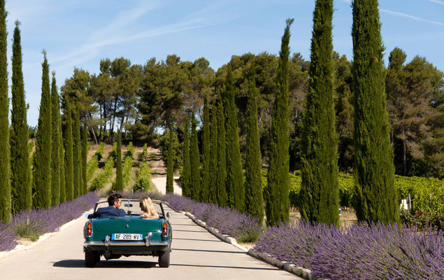 Provence Wedding