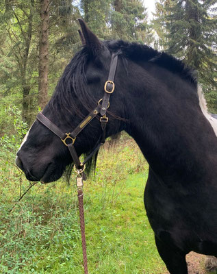 Winnetou