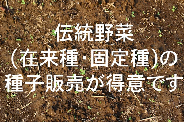 光郷城 畑懐 Kougousei Hafuu 光郷城 畑懐 Kougousei Hafuu