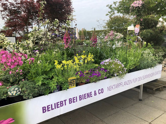 VISUELL VORGESTELLT IN BARGTEHEIDE- "DER GARTEN 2020 LEBT"